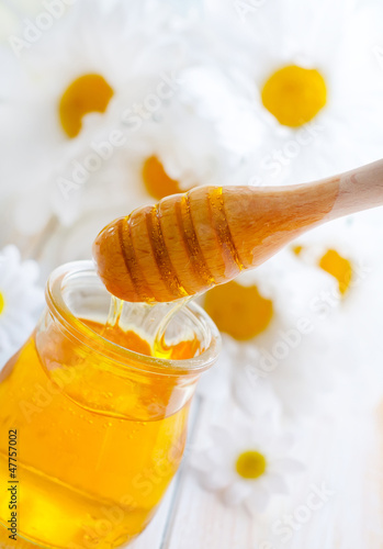 Photo: fresh honey in the glass bank and camomiles fresh honey in the glass bank and camomiles