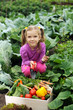 Photo: In the kitchen-garden In the kitchen-garden