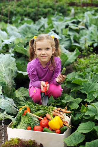Photo: In the kitchen-garden In the kitchen-garden