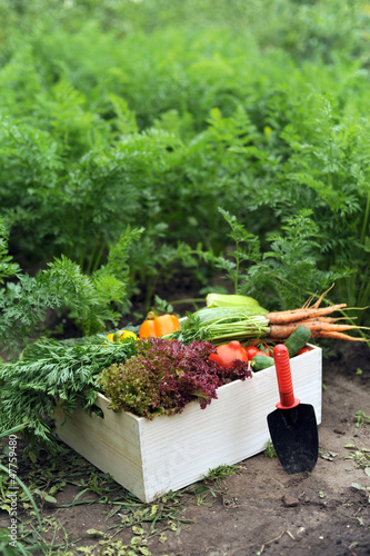 Photo: Crop in a crate Crop in a crate