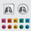 Lungs in Black and White