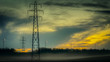 Power lines in the mist