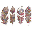 Ethnic Indian feathers plumage background