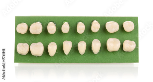Photo: Teeth set isolated on white Teeth set isolated on white
