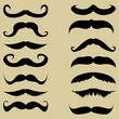 mustache. Set vector