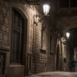 Bridge at Carrer del Bisbe  in Barri Gotic, Barcelona
