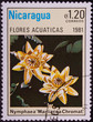 Postage stamp