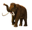 Mammoth
