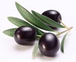 Ripe black olives with leaves.