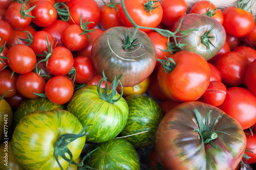 Photo: Tomates Tomates