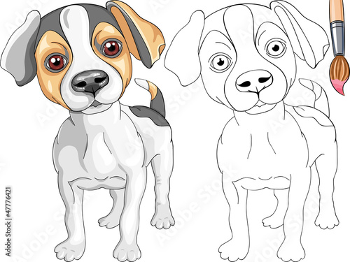 Vector: Vector Coloring Book of smiling Puppy dog Jack Russell Terrier Vector Coloring Book of smiling Puppy dog Jack Russell Terrier