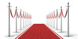 Red carpet