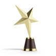 Gold Star Award