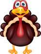 Turkey cartoon