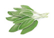 Sage leaves