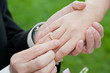 Wedding rings
