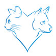 chat et chien en forme de coeur