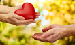 Red heart in woman and man hands, on green background