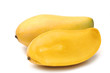 Photo: ripe golden mango ripe golden mango