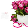 pink roses