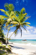 Foto: Cumana Bay, Trinidad Cumana Bay, Trinidad