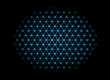 the blue net