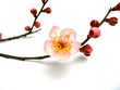 梅の花