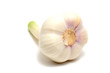 Knoblauch-Knolle