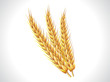 abstract wheat ears