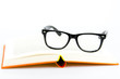 Photo: Lesen bildet Lesen bildet