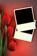 Photo: Polaroid frame and tulips on vintage background Polaroid frame and tulips on vintage background