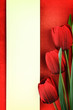Photo: Empty banner and red tulips on vintage background Empty banner and red tulips on vintage background