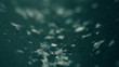 Snow Flakes 004