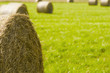 big straw rolls on a field
