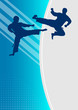 taekwondo - 4