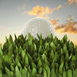 Foto: Golf ball on grass Golf ball on grass