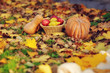 on the green grass is a fruit basket and a pumpkin 