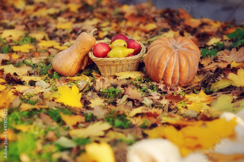 Photo: on the green grass is a fruit basket and a pumpkin on the green grass is a fruit basket and a pumpkin