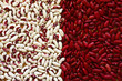 Photo: Soup Beans V Soup Beans V