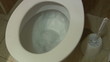 Toilet being flushed.