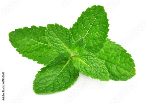 Photo: Fresh mint Fresh mint
