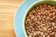 Photo: Soup Beans XI Soup Beans XI