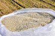 nitrogenous fertilizer