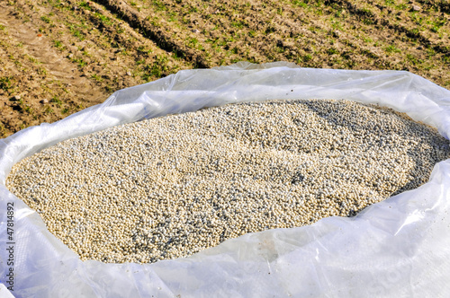 Photo: nitrogenous fertilizer nitrogenous fertilizer