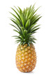 Photo: pineapple pineapple