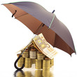 concept maison assurances protection