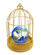 Illustration: golden birdcage and earth golden birdcage and earth