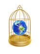 Illustration: golden birdcage and earth golden birdcage and earth