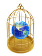 Illustration: golden birdcage and earth golden birdcage and earth
