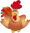 cock